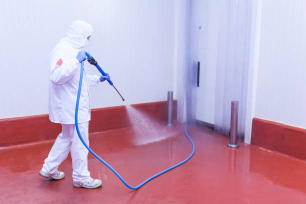 Best Concrete Sealing  in Buckner, MO